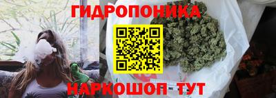 крисы Апрелевка
