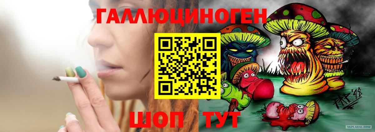 Галлюциногенные грибы Cubensis Апрелевка