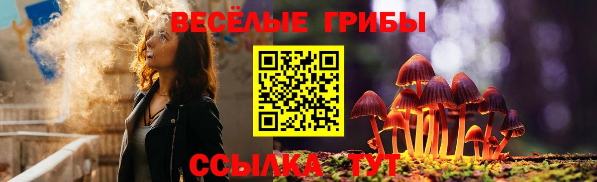 Псилоцибиновые грибы GOLDEN TEACHER  Вход с VPN  Апрелевка 